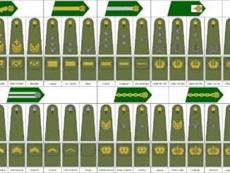 Nigerian Military Ranks and Their Equivalents: Army, Navy and Air Force Explained (2026)