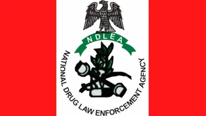 NDLEA Shortlisted Candidates 2026/2027 PDF Download: Check Your Name and Screening Updates NDLEA Shortlisted Candidates 2026/2027 PDF Download: Check Your Name and Screening Updates