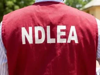 NDLEA Salary Structure 2026: Ranks, Monthly Salary and Allowances in Nigeria