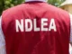 NDLEA Salary Structure 2026: Ranks, Monthly Salary and Allowances in Nigeria