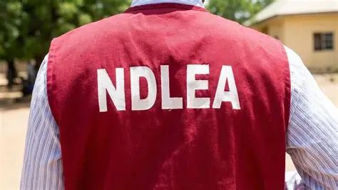 NDLEA Salary Structure 2026: Ranks, Monthly Salary and Allowances in Nigeria NDLEA Salary Structure 2026: Ranks, Monthly Salary and Allowances in Nigeria