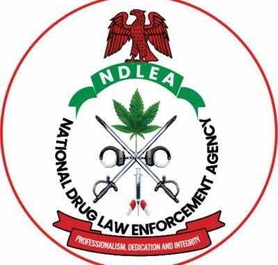 NDLEA Training Allowance 2026, Duration, Training Date and Camp Requirements NDLEA Training Allowance 2026, Duration, Training Date and Camp Requirements