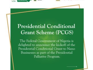 Federal Government Nano Business Funding Requirements in Nigeria