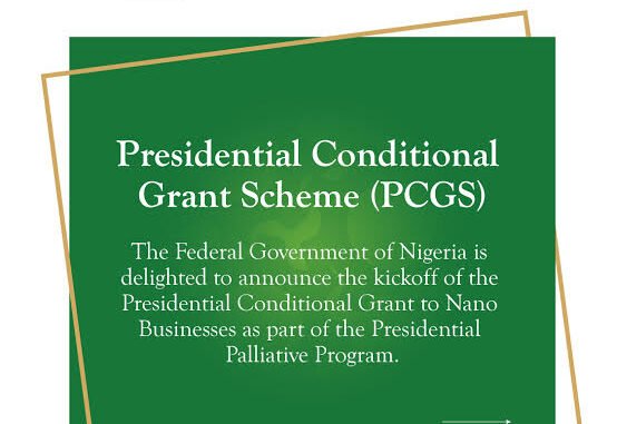 Federal Government Nano Business Funding Requirements in Nigeria