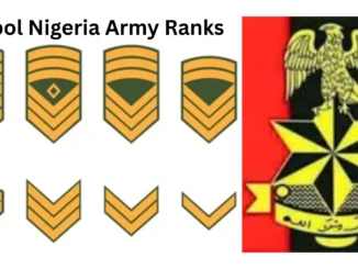 Nigerian Army Ranks and Symbols/Insignia in Nigeria 2026/2027: Full List of Army Ranks Explained
