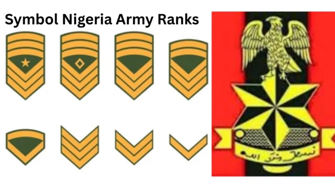 Nigerian Army Ranks and Symbols/Insignia in Nigeria 2026/2027: Full List of Army Ranks Explained