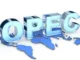 OPEC Fund Investment Manager Job 2026: Business Development Role in Austria