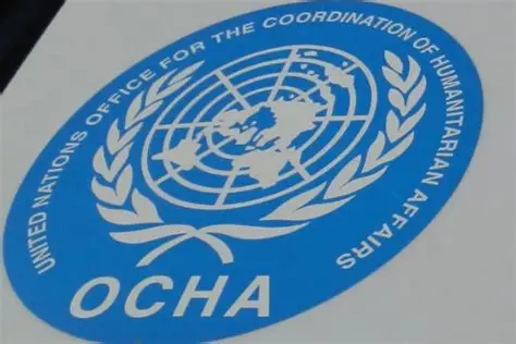 UN OCHA Recruitment 2026: Monitoring and Evaluation Analyst Job in Maiduguri