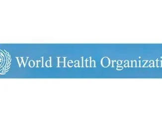 WHO Recruitment 2026: National Consultant Job in Abuja With $5,691 Monthly Salary