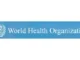 WHO Recruitment 2026: National Consultant Job in Abuja With $5,691 Monthly Salary