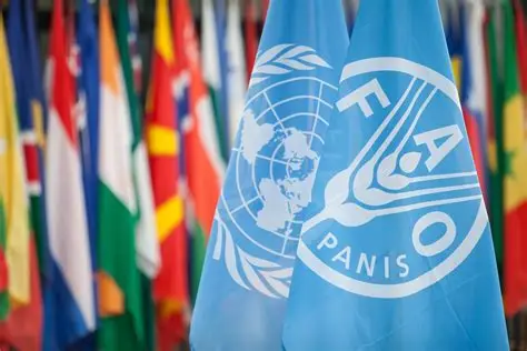 FAO Internship Programme FAO Internship Programme