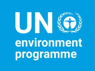 UNEP Mercury Consultant Job 2026, Home-Based