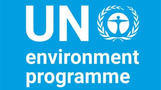 UNEP Mercury Consultant Job 2026, Home-Based UNEP Mercury Consultant Job 2026, Home-Based