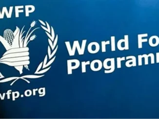 WFP JOB