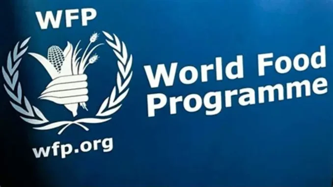 WFP JOB WFP JOB