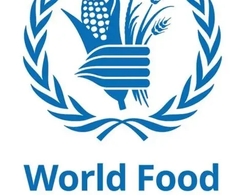 WFP Risk Officer Job 2026 in Kinshasa, DRC