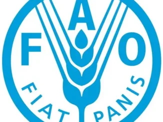 FAO Agrifood Systems Associate Officer Job in Tanzania