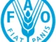 FAO Disaster Risk Management Associate Job in Bangkok, Thailand