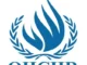 OHCHR Rights of Older Persons Internship 2026