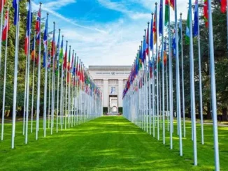 UNOG Programme Management and Partnerships Consultant Job 2026