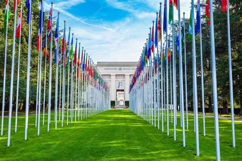 UNOG Programme Management and Partnerships Consultant Job 2026