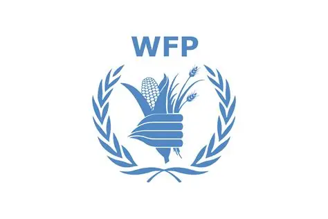 WFP Business Support Associate (Communications) Job in Ghana 2026